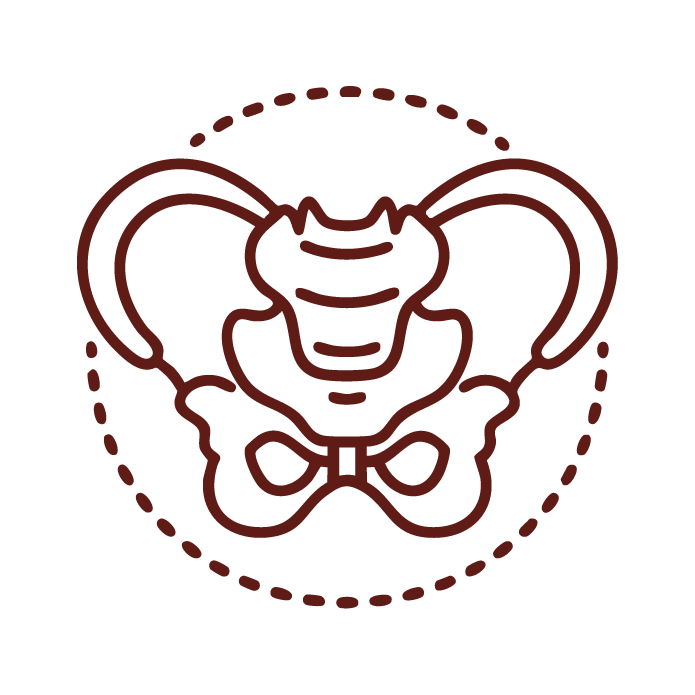 Icon Beckenbodenphysio